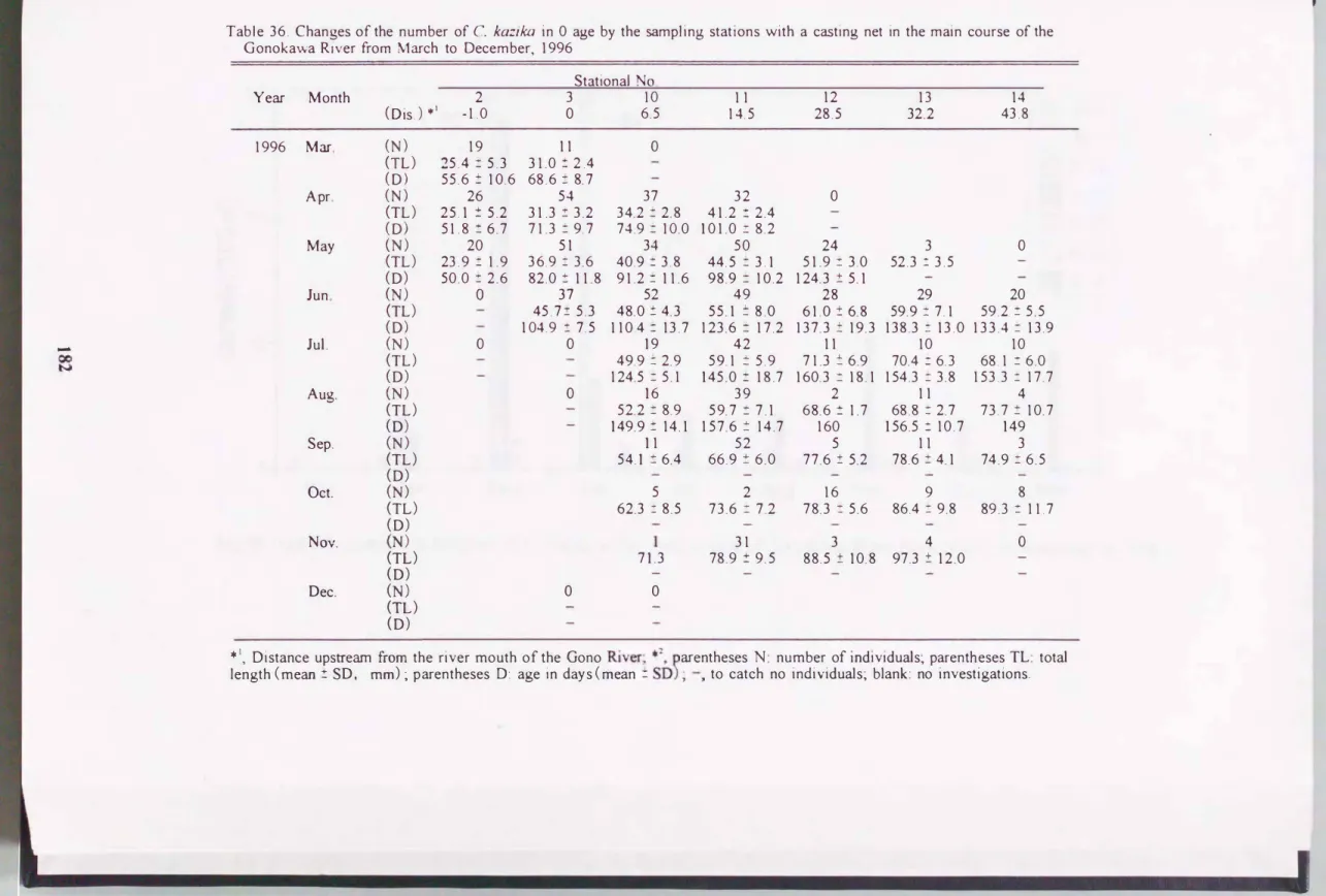 Table  36.  Changes  of  the  number  of  C.  kazika  in  0  age  by  the  sampling  stations  with  a  cぉting net  in  the  main  course  of  the  Gonokawa  Rlver  from  March  to  December，  1996 