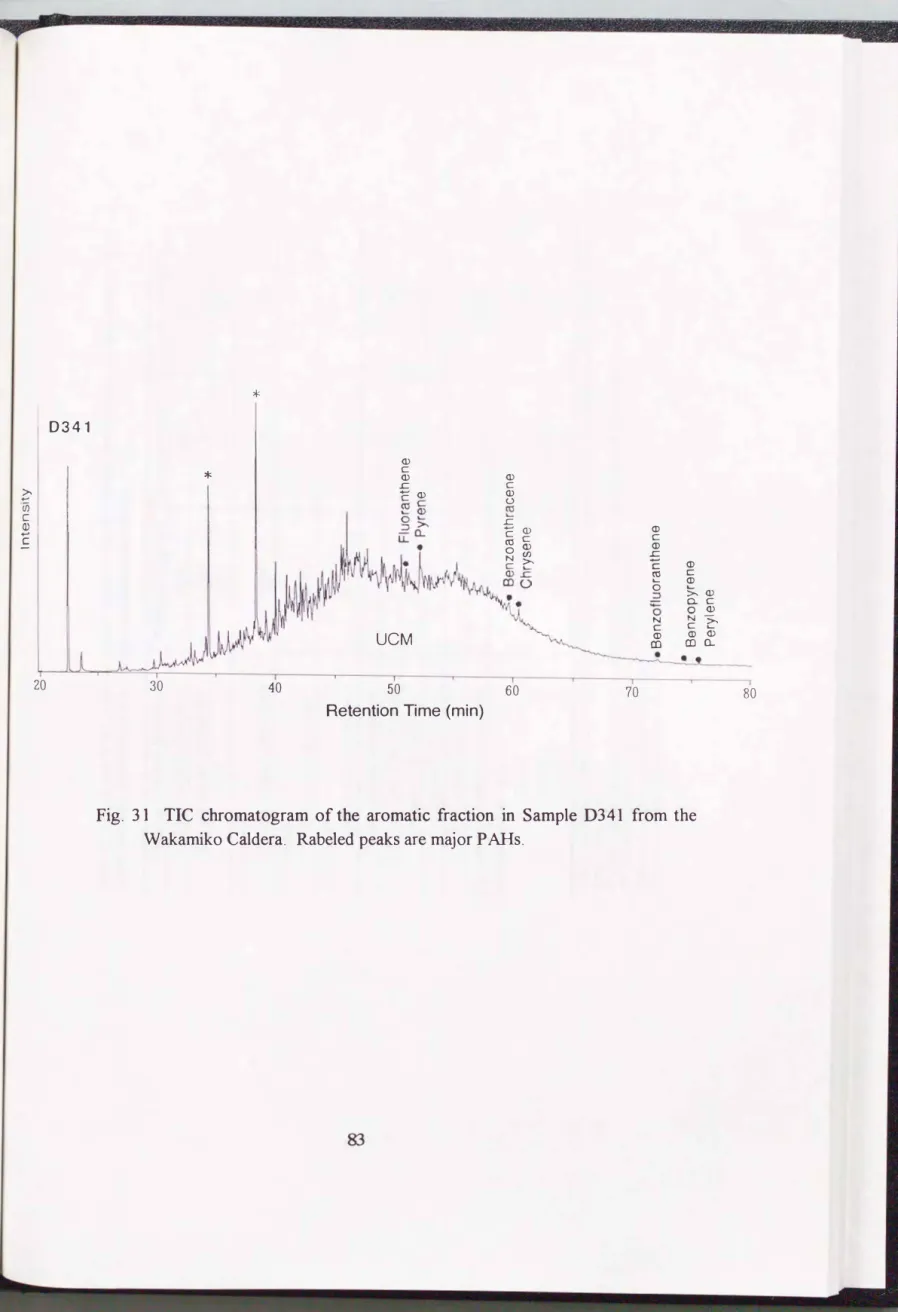 Fig.  31  TIC  chromatogram  of  the  aromatic  fraction  in  Sample  D341  from  the  Wakamiko Caldera