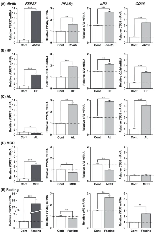Figure 2. FSP27 mRNA expression in fatty liver developed by different methods. 