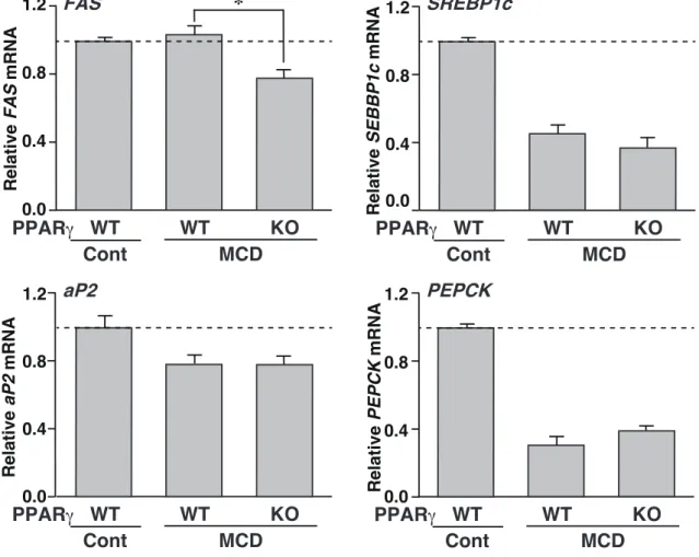 Figure 5. Effects of PPARγ deficiency on hepatic gene expression in MCD fatty liver.   