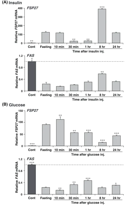 Figure 8. Induction of  FSP27 mRNA in fasting liver is suppressed by insulin or glucose injection