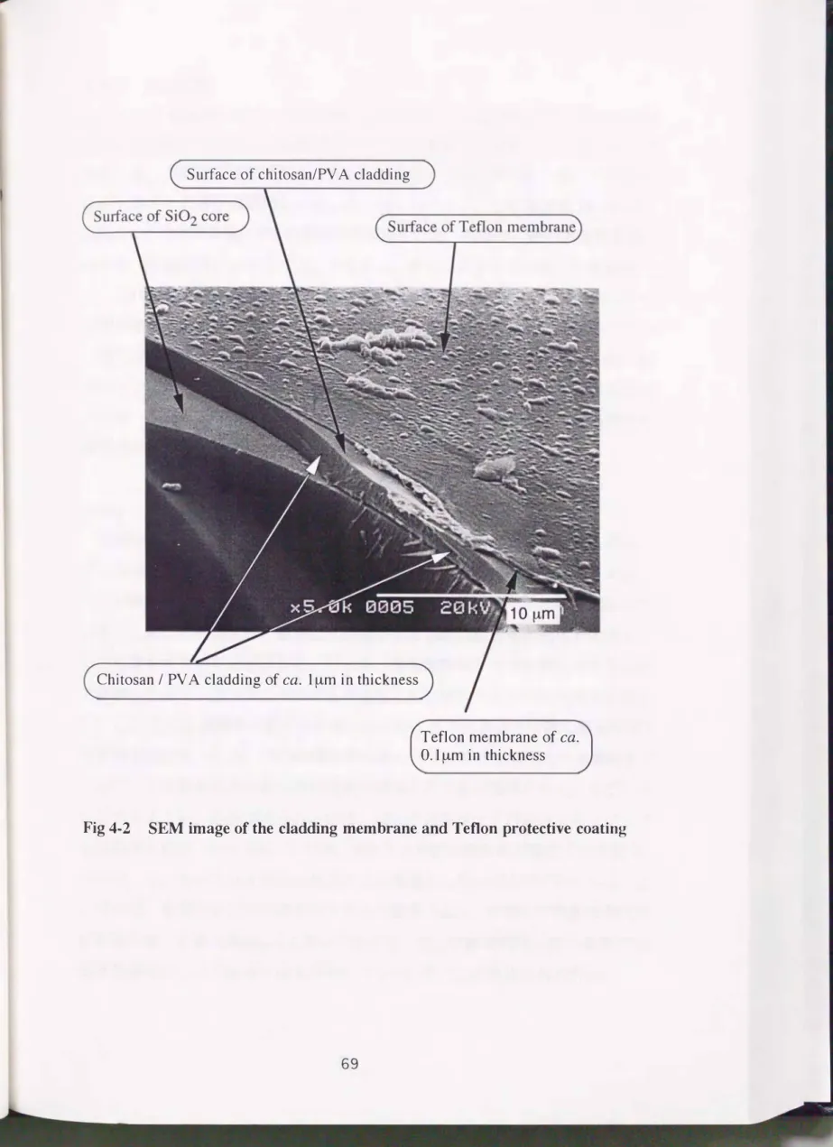 Fig 4・2 SEM泊lage of the  cladding  membrane  and  Teflon  protective  coating 