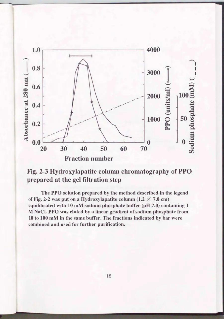 Fig. 2・3 Hydroxylapatite column  chromatography of PPO  prepared at the gel  filtration  step 
