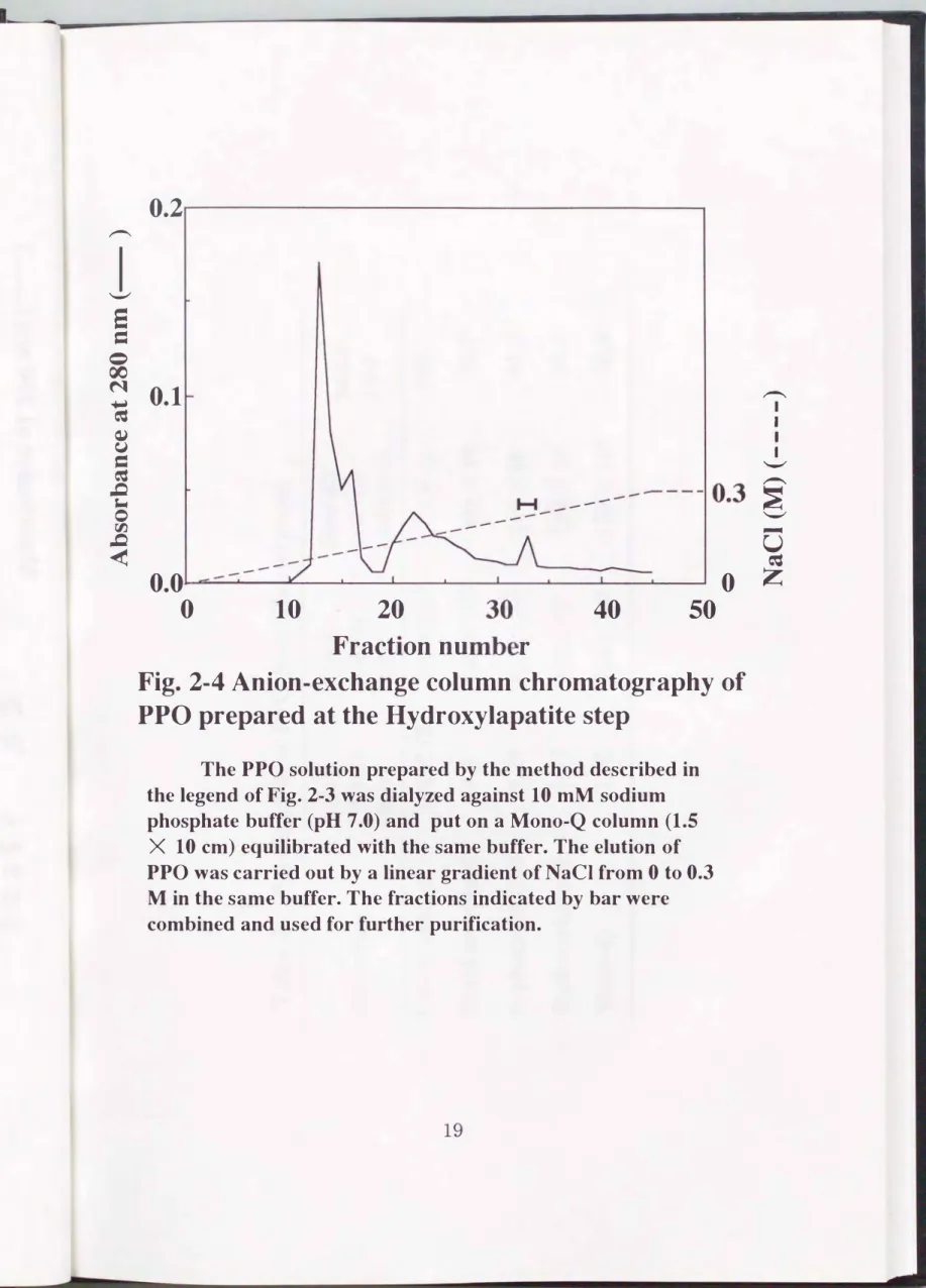 Fig. 2・4 Anion-exchange column chromatography of  PPO  prepared at the  Hydroxylapatite step 