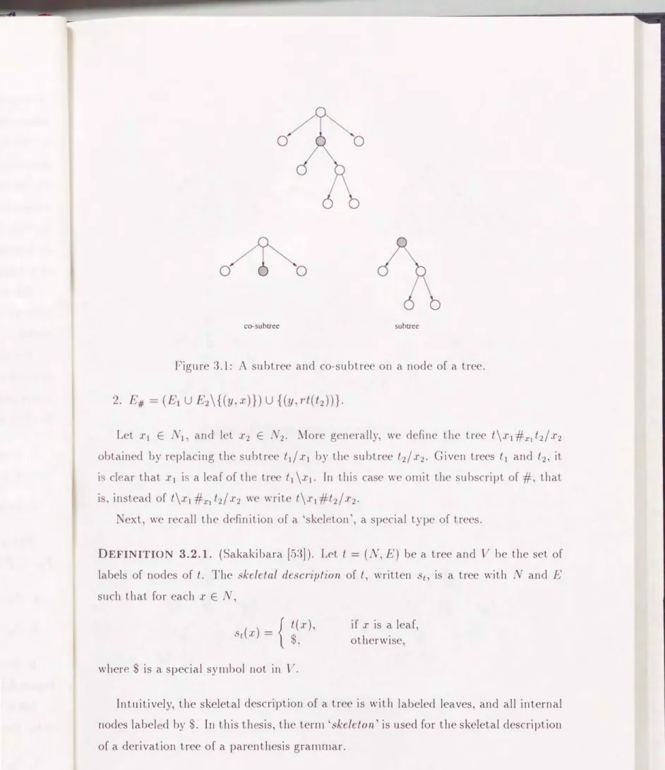 Figure  3.1:  A  subtree  and  co-subtree  on  a  node  of  a  tree. 