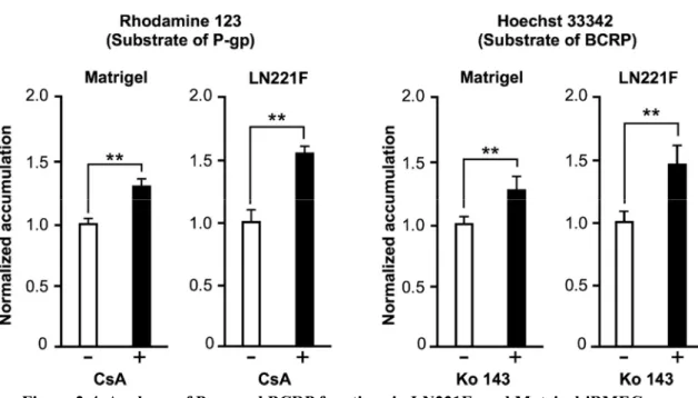 Figure 2-4. Analyses of P-gp and BCRP functions in LN221F- and Matrigel-iBMECs. 
