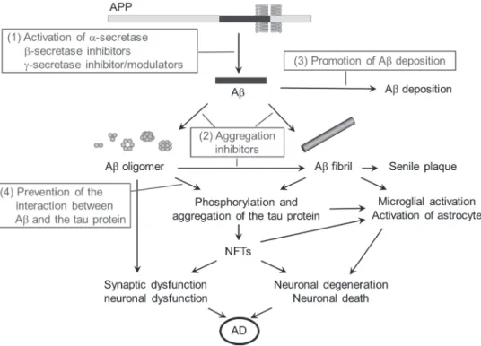 Figure 6    A-associated AD pathogenesis (black letters) and various therapeutic  strategies (gray letters) composed of disease-modifying agents.