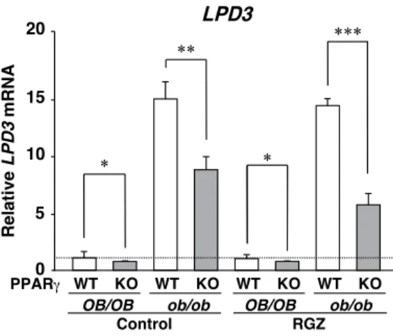 Figure 24. LPD3 protein is localized in the peroxisome fraction of the RGZ-treated ob/ob mouse liver, but not PPARγ null ob/ob mouse liver.