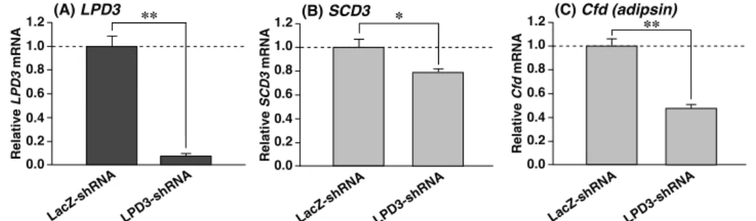 Fig.  5.  LPD3  knockdown  in  3T3-L1  adipocytes  leads  to  the  repression  of  SCD3  and  Cfd  mRNAs