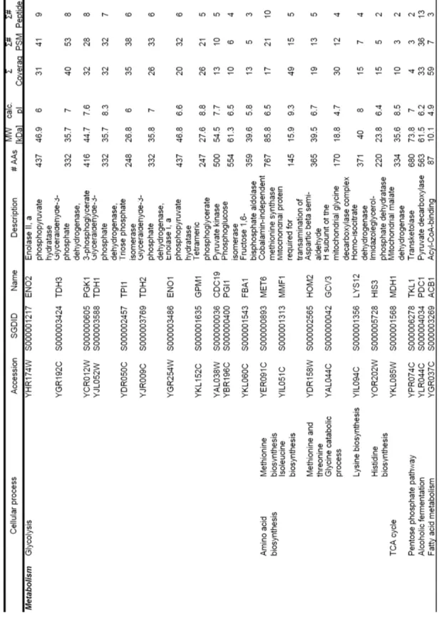 Table 3. List of identified noncovalently-bound cell surface proteins 