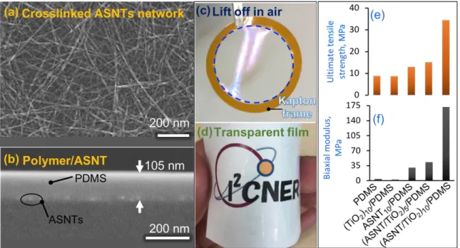Figure  1-6.  (ASNT/TiO 2 ) n /PDMS  nanomembrane.  (a–d)  Morphology  and  macroscopic  manipulation