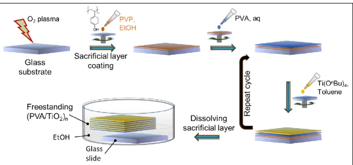 Figure 2-2. Schematic representation of nanomembrane fabrication process by spin-assisted LBL  assembly