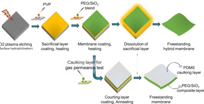 Figure 3-3. Schematic representation of nanomembrane fabrication process by spin-coating