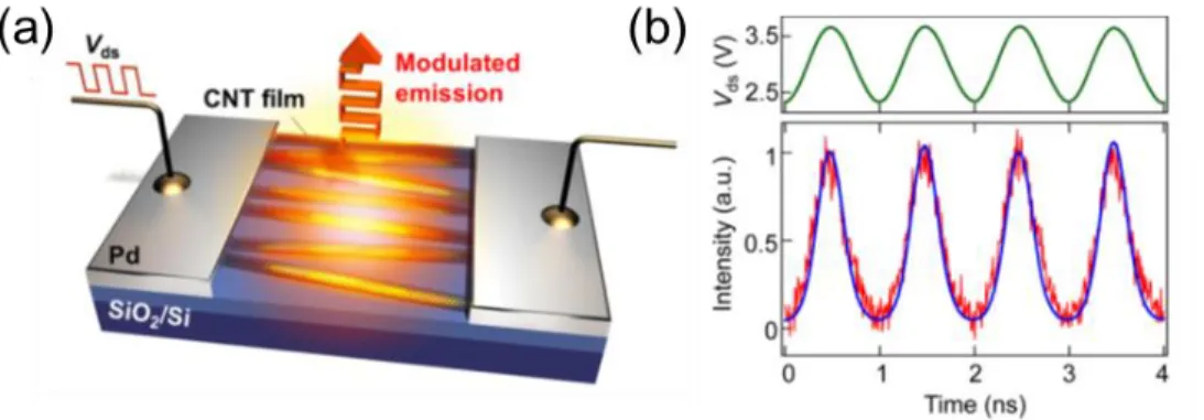 Figure  1-16.  (a)  Schematic  illustration  of  the  exciton  confinement  effect  from  amorphous  carbon  surrounding a SWNT