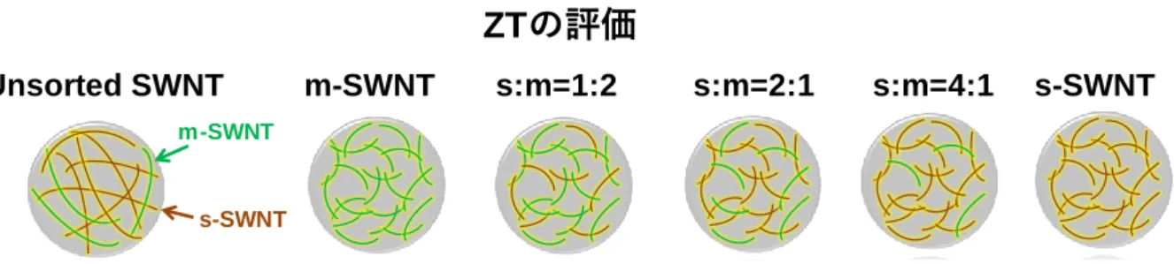 Fig. 1-19 Schematic illustration of the fabrication process of s-SWNT-F1, s-SWNT-F2, and s-SWNT-F3