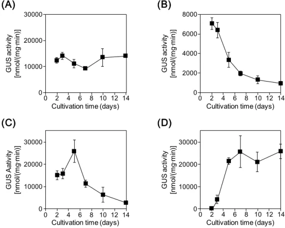 Fig. 1-4. Representative patterns of time-depend changes in GUS activity with different promoters