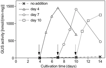 Fig.  2-3. GUS  activity  in  response  to  GAL10  promoter  induction  by  galactose  addition  in  different cultivation phases in complex medium