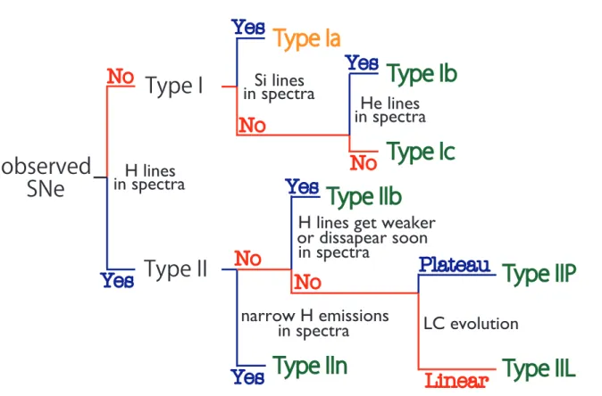 Figure 1.1: Observational classification scheme of SNe (from Moriya 2013). SNe Ia (orange) are thermonuclear explosions (see Section 2.2) of WDs and SNe of the other types (green) are explosions of massive stars (see Section 2.1)