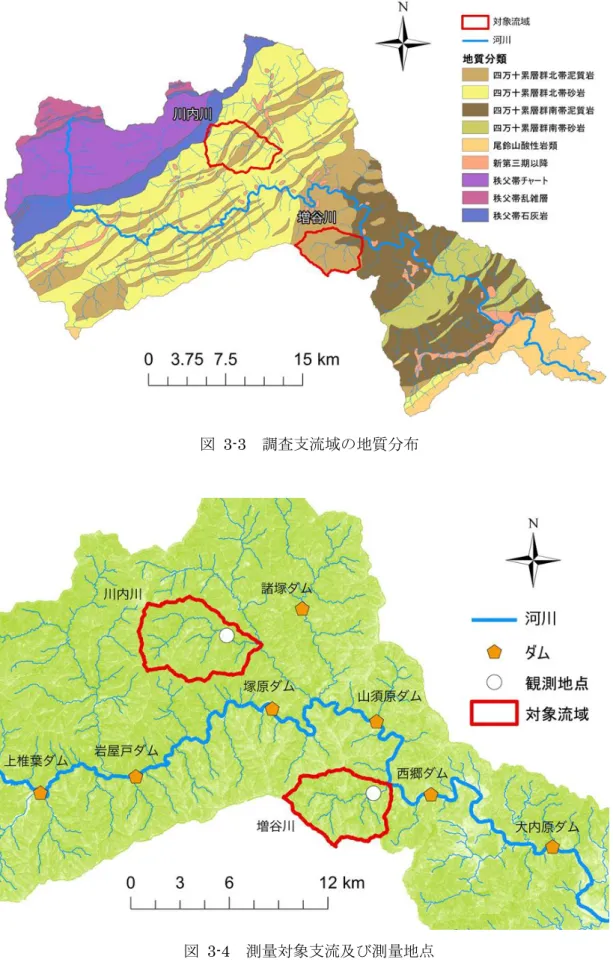 図  3-3  調査支流域の地質分布 