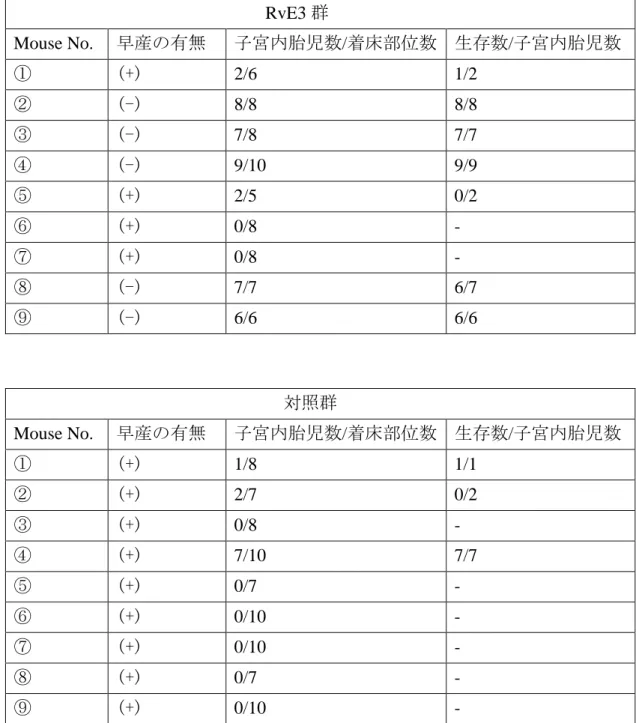 表 6.  子宮内胎児生存率  RvE3 群  Mouse No.  早産の有無  子宮内胎児数/着床部位数  生存数/子宮内胎児数  ①  (+)  2/6  1/2  ②  (-)  8/8  8/8  ③  (-)  7/8  7/7  ④  (-)  9/10  9/9  ⑤  (+)  2/5  0/2  ⑥  (+)  0/8  -  ⑦  (+)  0/8  -  ⑧  (-)  7/7  6/7  ⑨  (-)  6/6  6/6  対照群  Mouse No