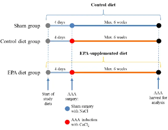 Figure 1. Study protocol. Mice in the Sham, Control diet, and EPA diet groups began  receiving the indicated study diets  4 days prior to AAA surgery