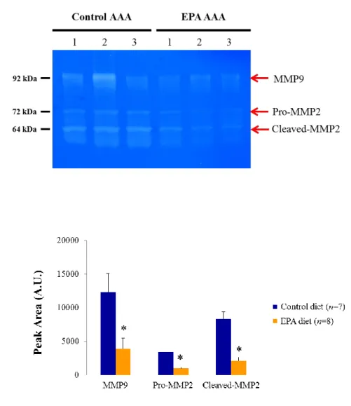 Figure 5. Reduced functional activities of MMP-2 and MMP-9 in AAAs after EPA  treatment