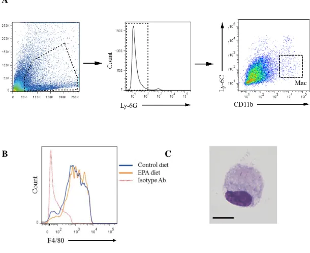 Figure  7.  Gating  strategy  for  the  flow  cytometric  analysis  of  AAA  macrophages