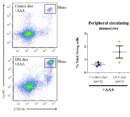 Figure 8. EPA tends to increase circulating monocyte numbers at 1-week after AAA  surgery