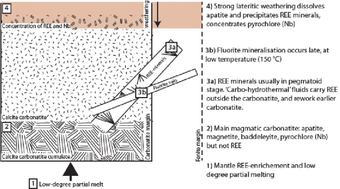 Figure  2.5:  Schematic  diagram  of  different  types  of  carbonatite-related  ore  deposit,  caused  by  partial melting (1), magmatic (2), hydrothermal (3) and supergene (4) processes
