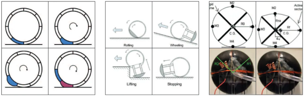 Figure 1.2: Deformable type rolling robot