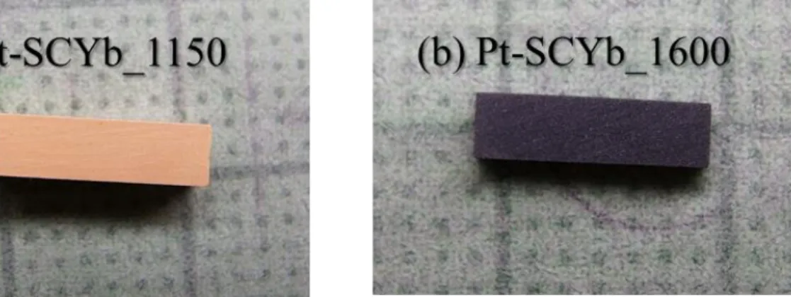 Figure 4-6 Pt-SCYb 焼結体外観写真  (a)1150 C 焼結体  (b)1600 C 焼結体 