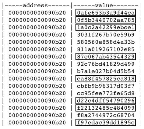 Figure 3.3: Recovered value of the RSA key. The 16 digit hex values of the lefthand side show the address of the operation and righthand side values show the ones accessed by the operation