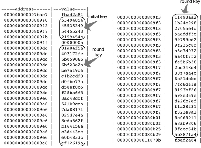 Figure 3.4: Recovered value of the AES secret key