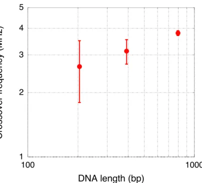 Figure 3.5. Crossover frequency plotted as a function of labeled DNA length. 