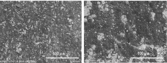 Figure 2-6. SEM image of CuCl 2 electrode  before initial discharge process in 1.0 M  LiPF 6 / MFA