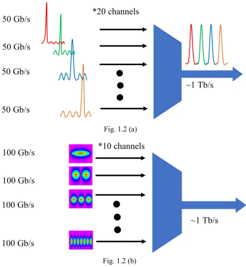 Fig. 1.2 Two technologies be used for supercomputer links. (a) WDM  based link illustration (b) SDM based link illustration 
