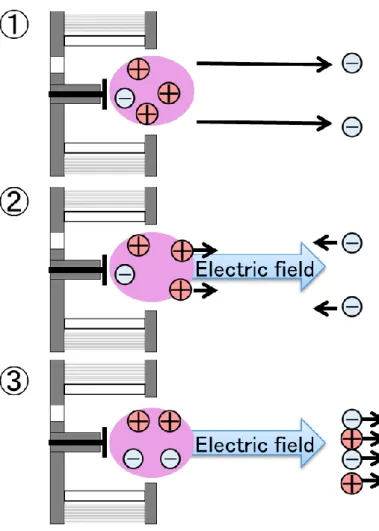 Fig. 1-4 Ion exhaust process. 