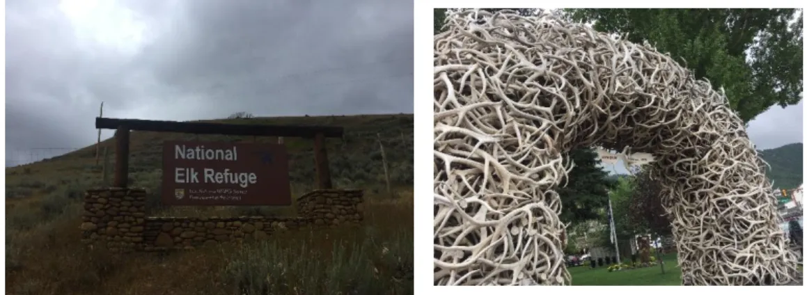 図 8：National elk refuge の入口        図 9：エルクの角を組み合わせて作られたアーチ    撮影者：龍智弘、8 月 28 日            撮影者：龍智弘、8 月 28 日 