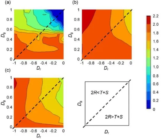 図  5-15：<k>=8 の Lattice における chicken game 領域（ 