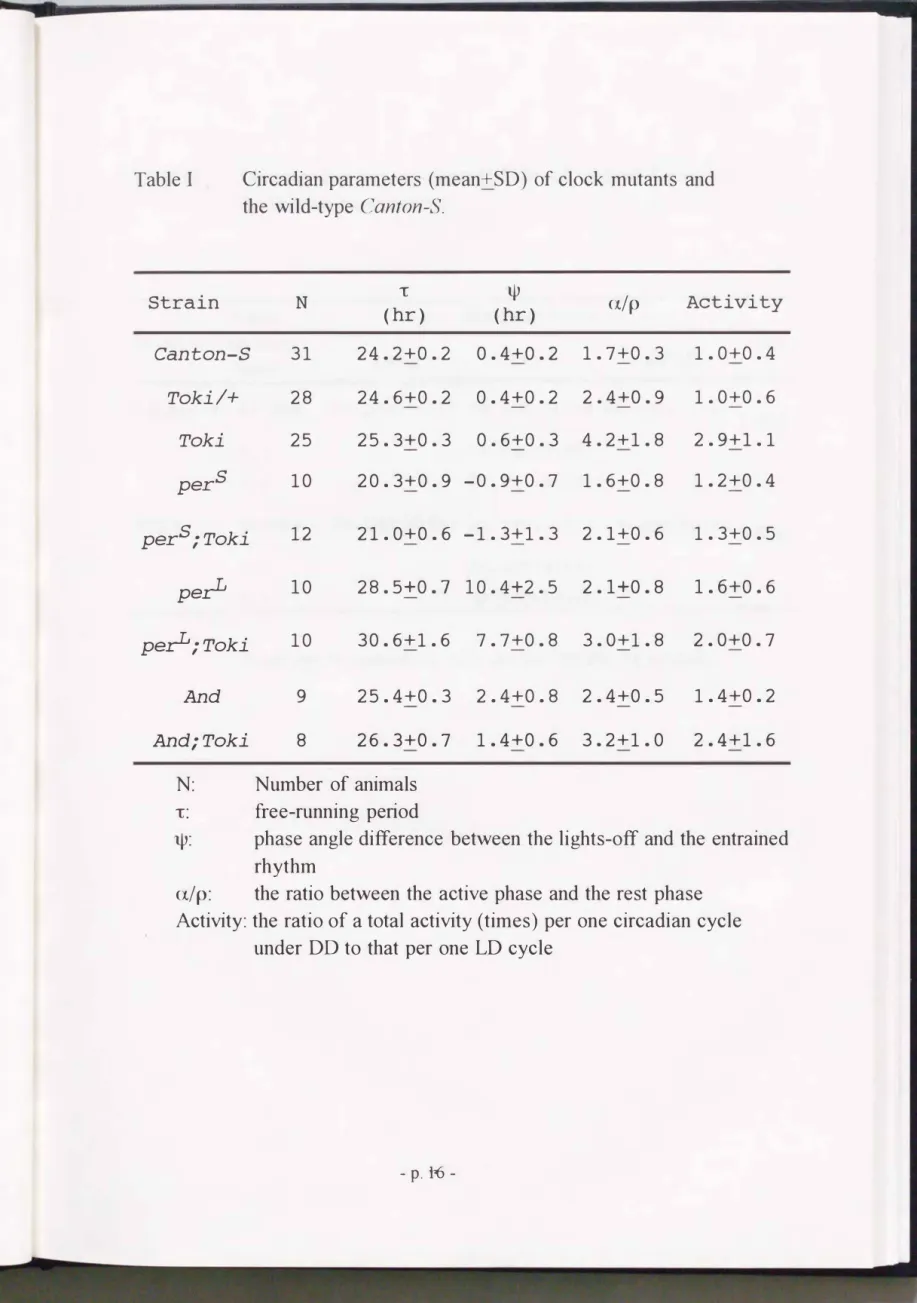 Table  I  Circadian parameters  (mean+SD)  of clock  mutants  and  the  wild-type  Canton-S