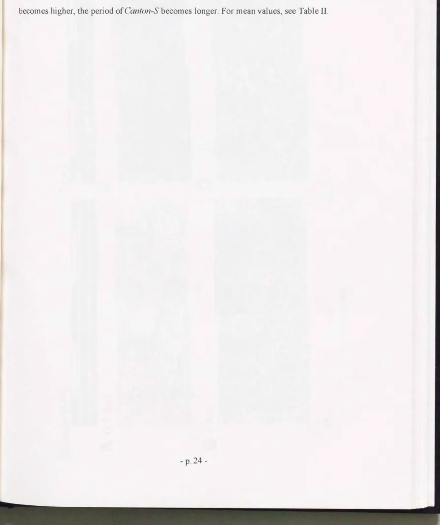 FIG.  3  Double plotted actograms of  Canton-S  (left  panels)  and  Toki  (right panels) under  LD, dim  LD and  constant dim-light  conditions