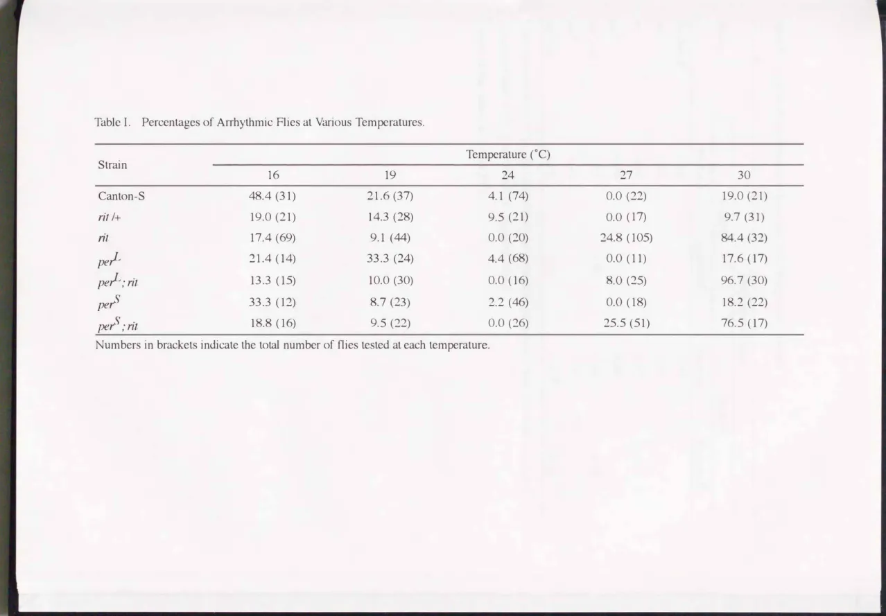 Table  I.  Percentages of Arrhythmic  Flies at  Various  Temperatures.  Strain  16  19  Canton-S  48.4 (31)  21.6 (37)  rit I+  19.0 (21)  14.3 (28)  rit  17.4 (69)  9.1  (44)  pel-- 21.4(14)  33.3 (24)  pel--;  rit  13.3 (15)  10.0 (30)  pe,.S  33.3 (12) 