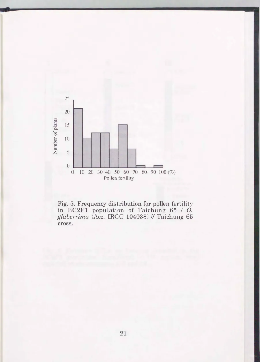Fig.  5.  Frequency  distribution for pollen fertility  in  BC2F1  population  of  Taichung  65  I  0