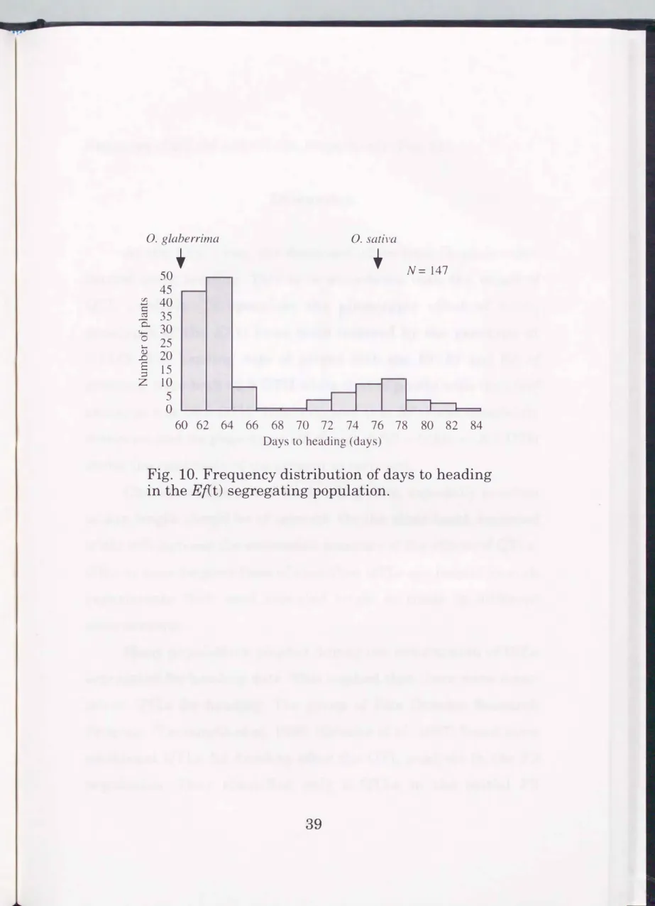 Fig.  10.  Frequency  distribution  of days  to  heading  in  the Ef(t)  segregating population