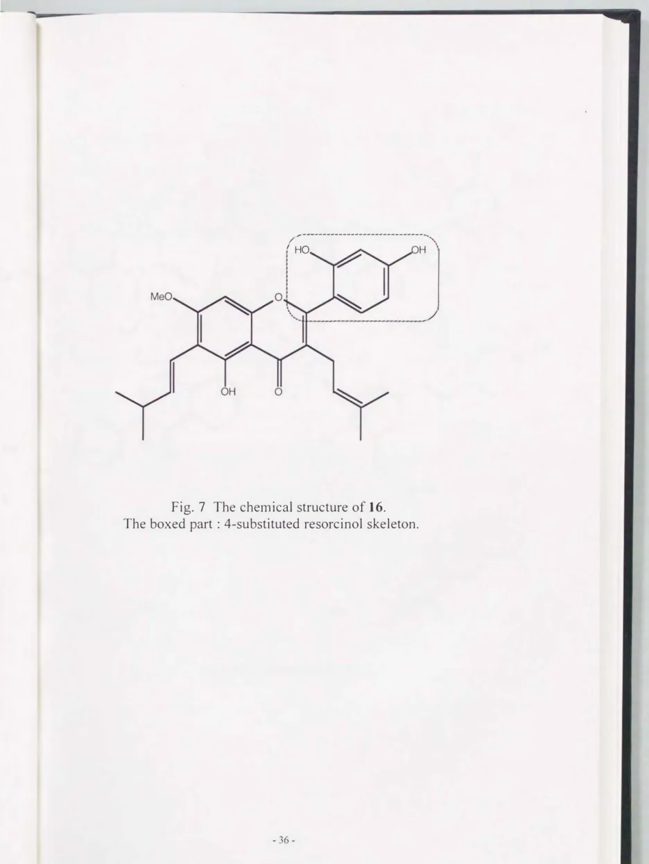 Fig.  7  The  chemical structure of 16. 