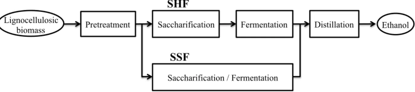Fig. 1-1 Scheme of lignocellulosic ethanol production.   