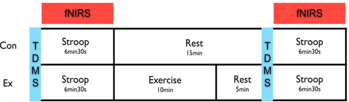 Fig. 6. Experimental design for the young 