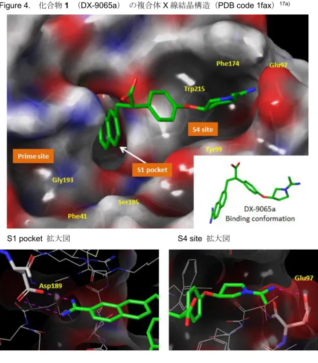 Figure 4.  化合物 1  （DX-9065a）  の複合体 X 線結晶構造（PDB code 1fax） 17a)