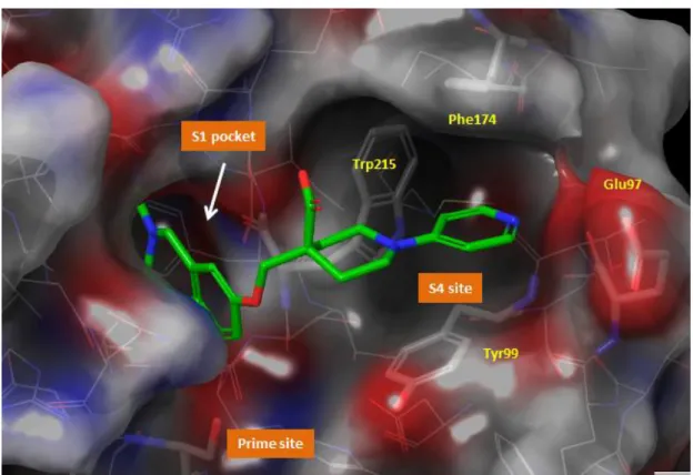 Figure 12.  複合体モデル  Factor Xa + Compound 3 17b)