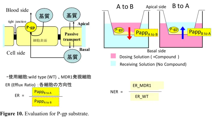 Figure 10. Evaluation for P-gp substrate. 